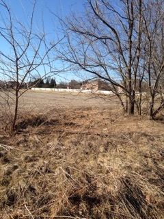 125 Chatham Ln