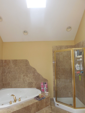 For Sale: 4540 Kolze Ave Schiller Park, IL 60176