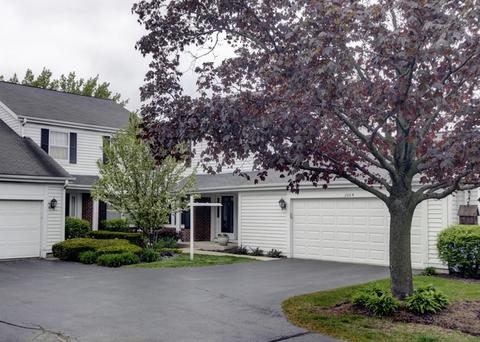 946 Wheaton Oaks Dr