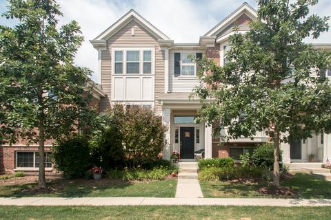 946 Wheaton Oaks Dr