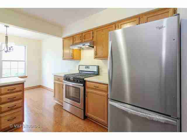 For Sale: 115 Thistle Ct Schaumburg, IL 60194