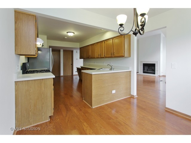 For Sale: 115 Thistle Ct Schaumburg, IL 60194