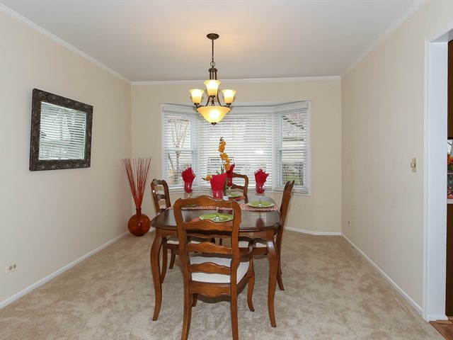 For Sale: 608 N Walnut Ln Schaumburg, IL 60194