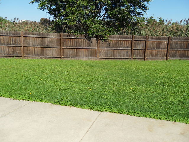 2912 Grand Prairie Dr