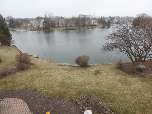 1114 Cassie Dr