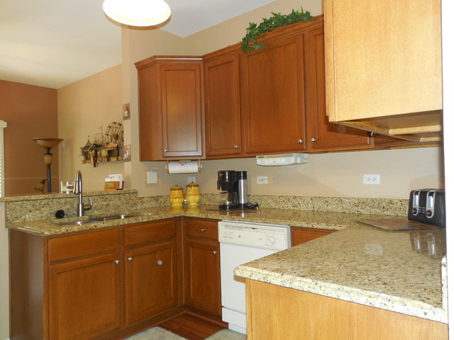 For Sale: 8211 Tremont Ln Joliet, IL 60431