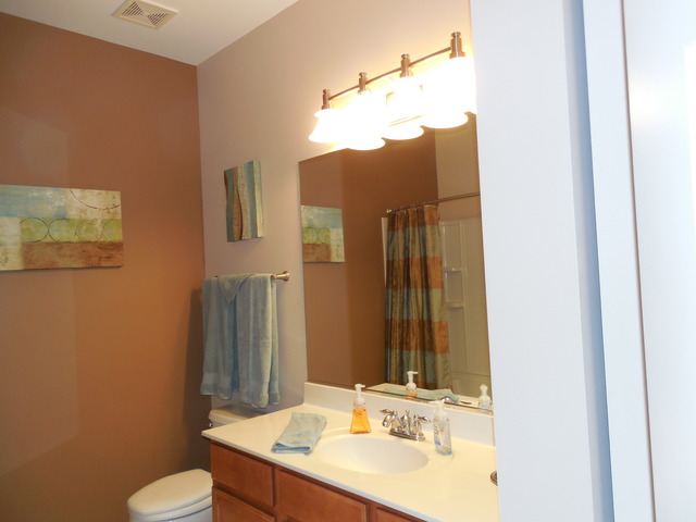 For Sale: 8211 Tremont Ln Joliet, IL 60431