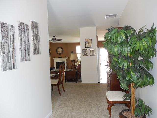 For Sale: 8211 Tremont Ln Joliet, IL 60431