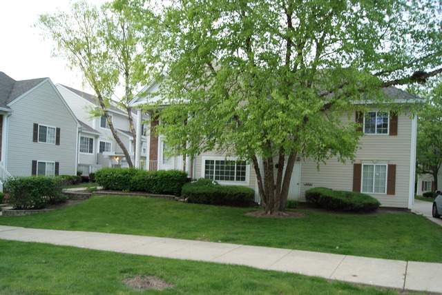 For Sale: 337 Harmony Ct Bolingbrook, IL 60440