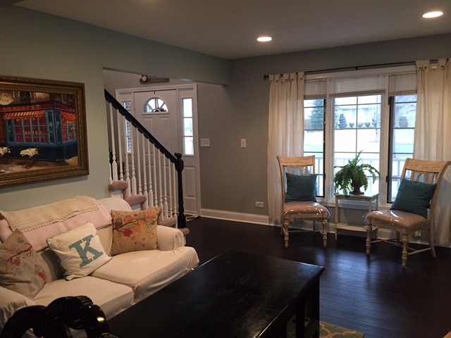 For Sale: 20008 Lakeview Way Mokena, IL 60448