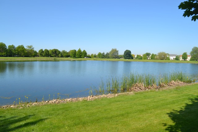 For Sale: 1372 Waterside Dr Bolingbrook, IL 60490