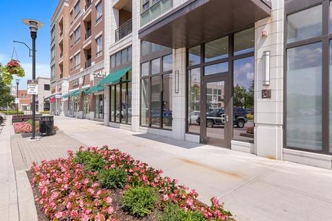 57 E Delaware Pl #1303
