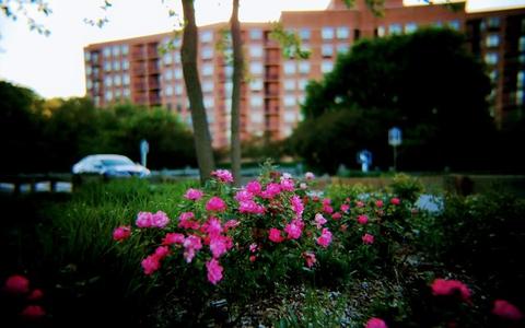 5810 Oakwood Dr #3E