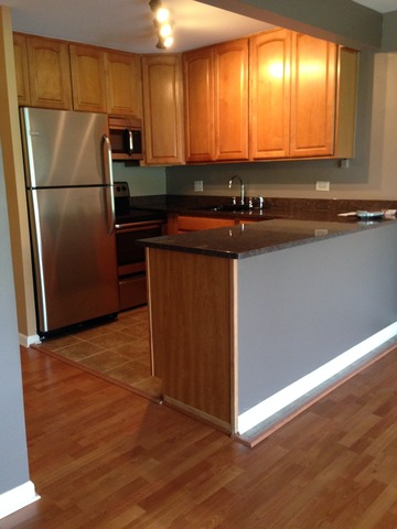 For Sale: 5850 Forest View Rd #APT B Lisle, IL 60532