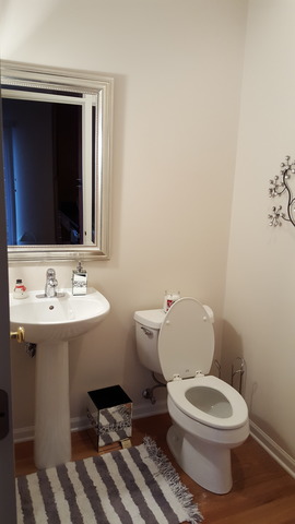 For Sale: 6131 River Bend Dr Lisle, IL 60532