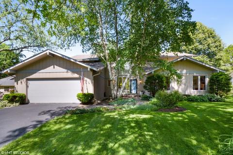 1172 Standish Ct