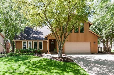 1172 Standish Ct