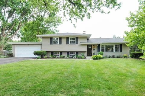 351 Redbud Dr