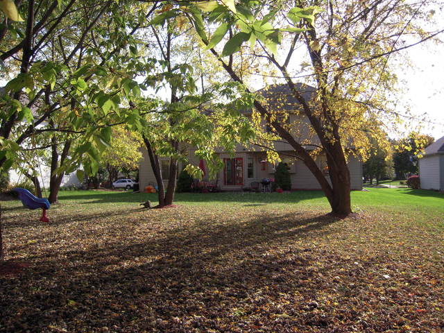 407 Bayberry Dr