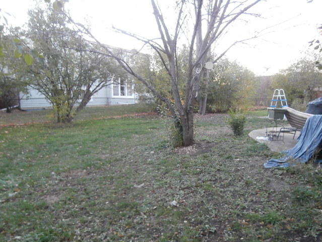 836 Oakwood Dr