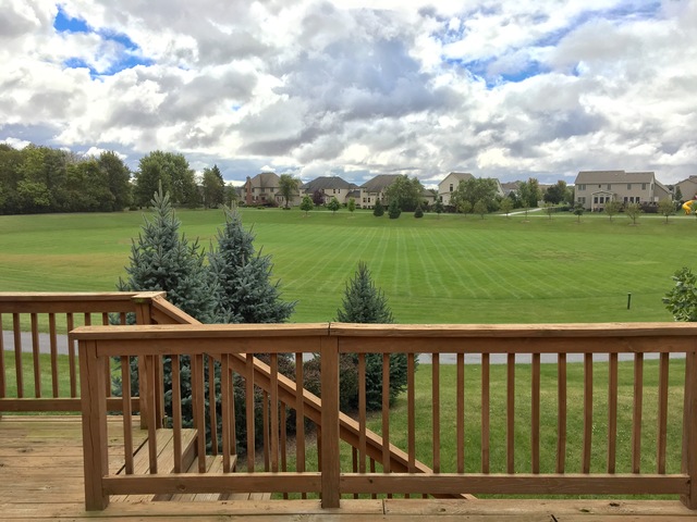 1100 Homestead Dr