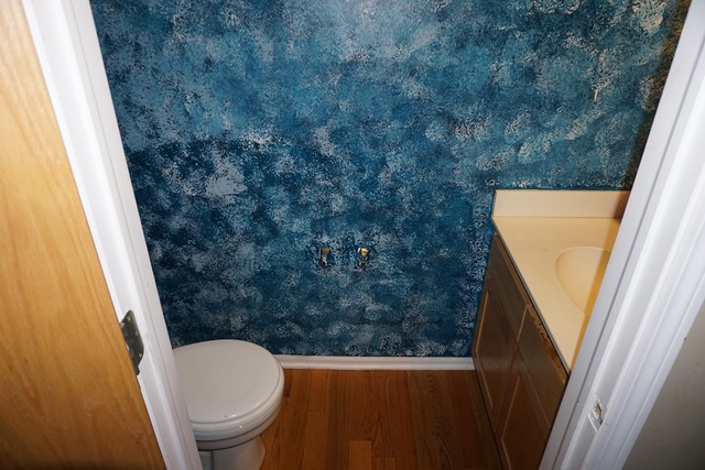 For Sale: 1678 Windward Ct #1678 Naperville, IL 60563