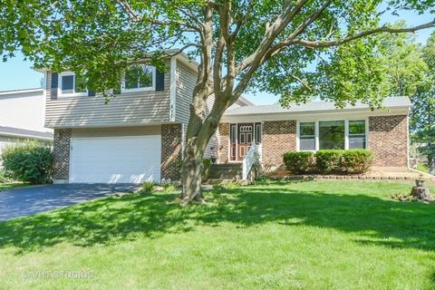 1909 Turtle Cove Ct