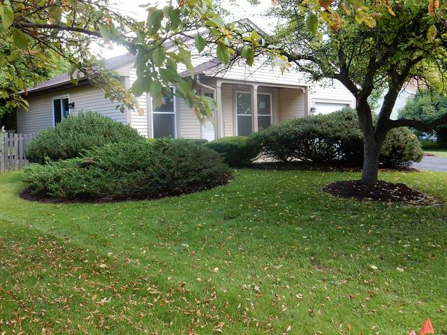 For Sale: 425 Bayview Ave Naperville, IL 60565