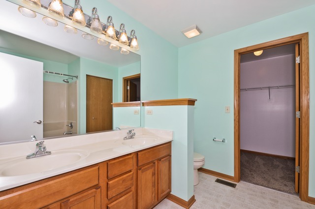 For Sale: 7710 Scarlett Oak Dr Plainfield, IL 60586