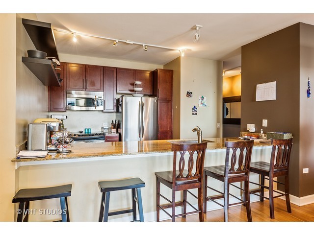 1250 S Michigan Ave #508
