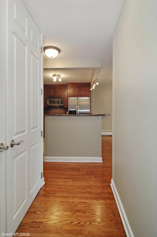 88 W Schiller St #501