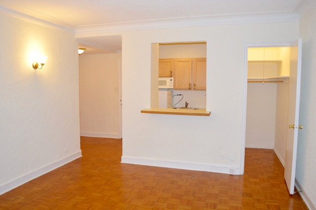 1550 N Lake Shore Dr #2E