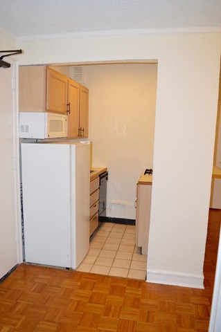 1550 N Lake Shore Dr #2E