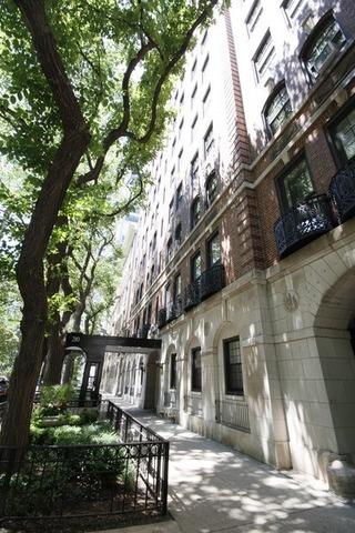 57 E Delaware Pl #1005