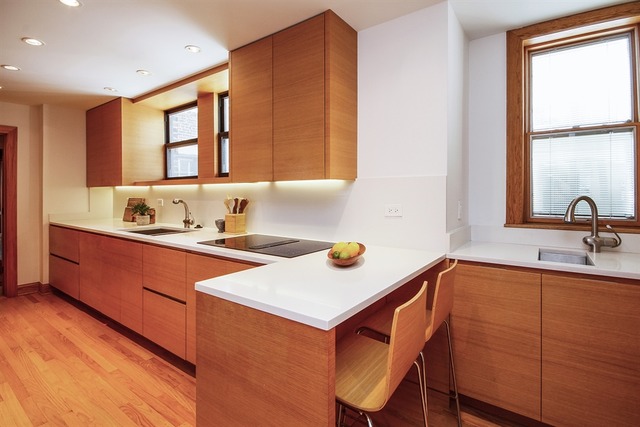 57 E Delaware Pl #1005