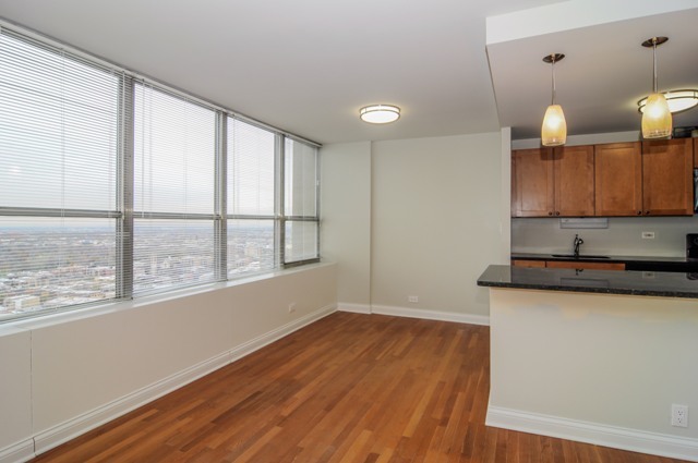 655 W Irving Park Rd #3417