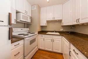 4250 N Marine Dr #1909