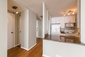 4250 N Marine Dr #1909