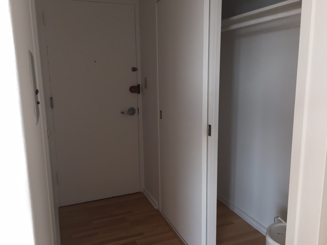 3950 N Lake Shore Dr #1327