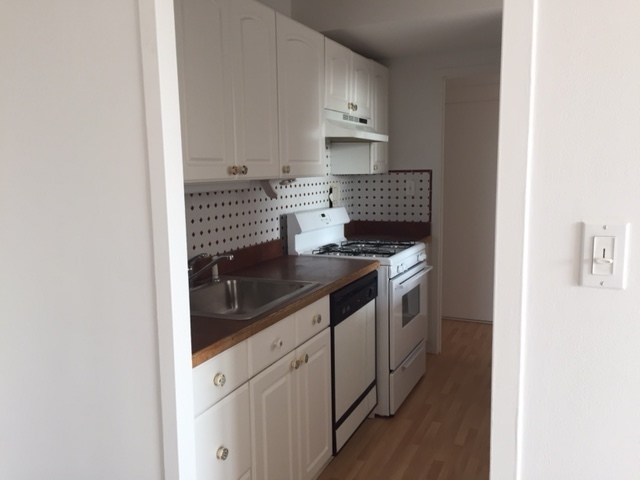 3950 N Lake Shore Dr #1327