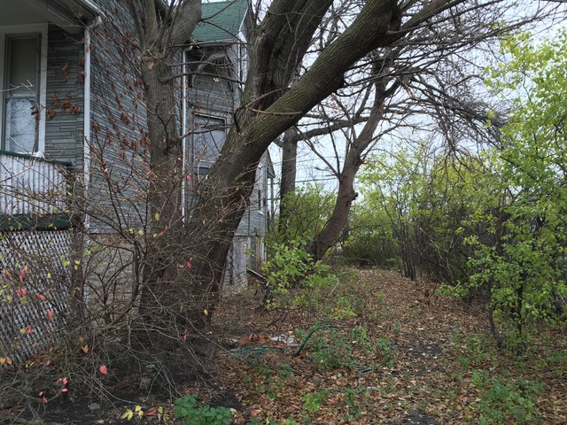 5323 N Kedzie Ave