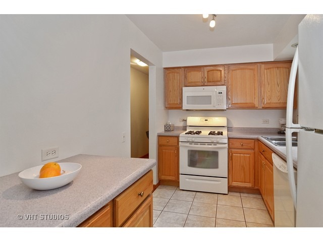 For Sale: 4881 N Hermitage Ave #APT G1 Chicago, IL 60640