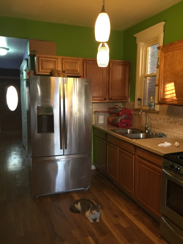 For Sale: 854 N Drake Ave Chicago, IL 60651