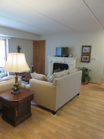 For Sale: 8700 W Evelyn Ln #APT 205 Chicago, IL 60656