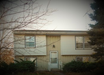 For Sale: 17256 E 7000 Rd Saint Anne, IL 60964