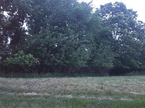 105960 Springmill Ct