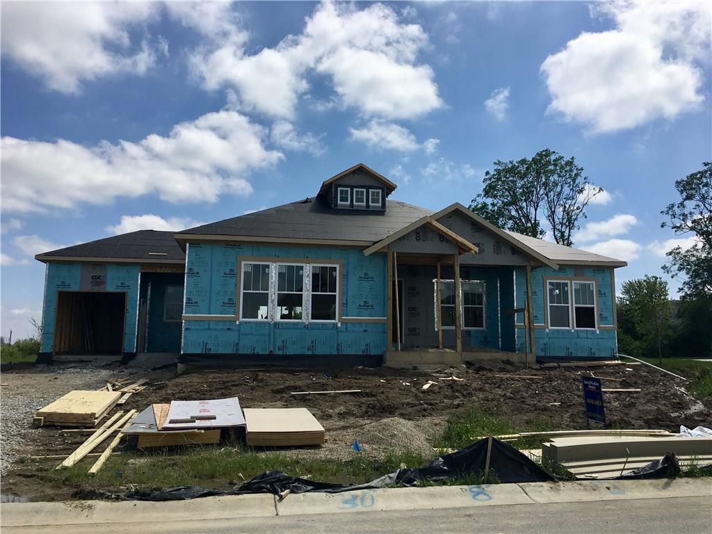 14165 Carlow Run