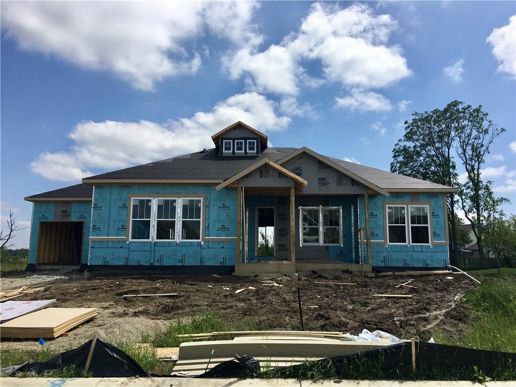 14165 Carlow Run