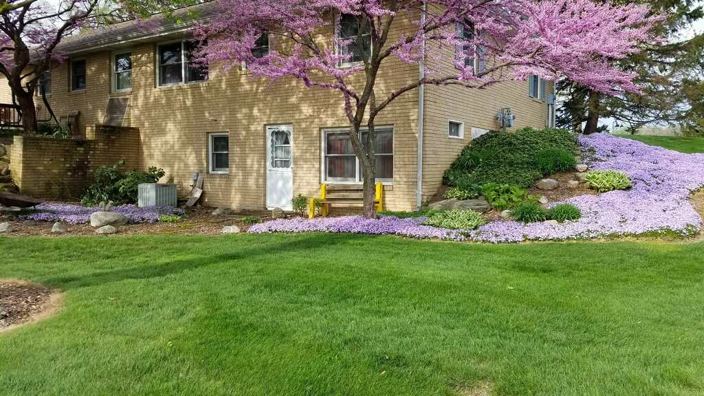 2504 Pin Oak Ct