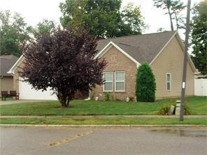 782 Knollwood Dr